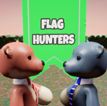 Flag Hunters Image