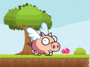 Piggy Run Image
