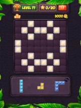 Puzzle Level Image