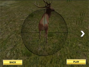 Sniper Deer Animal Hunt-ing : Shooting Jungle Wild Beast Challenge 3D Image