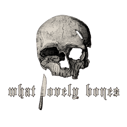 What Lovely Bones Game Cover