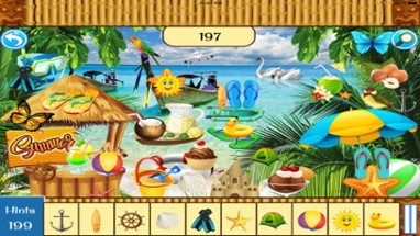 Hidden Objects:Summer Beach Party Image