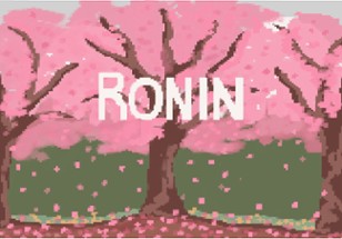 Ronin Image