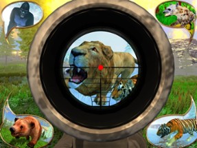 Animal Hunting Sniper Expert Image