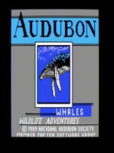 Audubon Whales: Wildlife Adventure Image