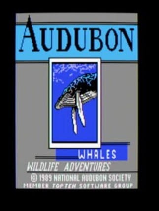 Audubon Whales: Wildlife Adventure Game Cover