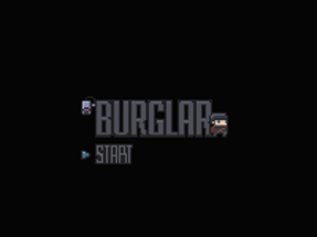 Burglar Image