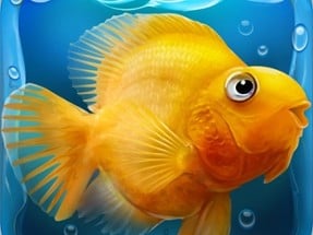 Fish tank Aquarium Image