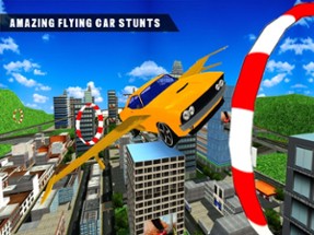 Flying Car Driving Simulator Image