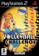 Volleyball Challenge Image