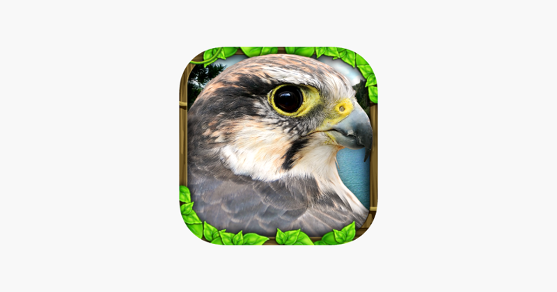 Falcon Simulator Game Cover