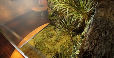 Terrarium Environment Image