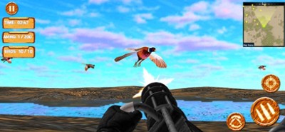 Pheasant Bow Hunting Pro Image