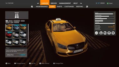 Taxi Life: A City Driving Simulator Image