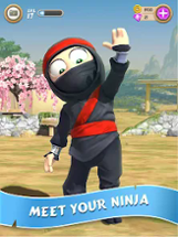 Clumsy Ninja Image