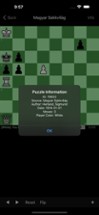 Mate in 3 Chess Puzzles Image