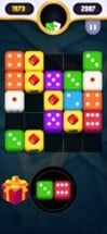 Merge Puzzle Match Dice Image