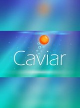 Caviar: Endless Stress Reliever Image