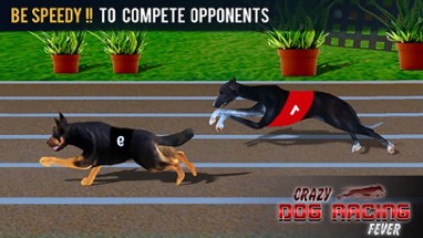 Crazy Dog Racing Fever Image
