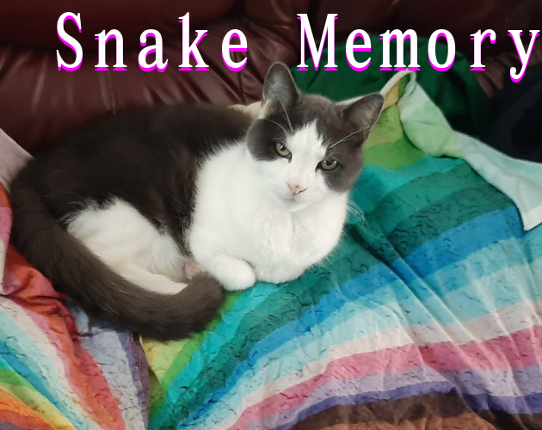 Snake Memory Game Cover