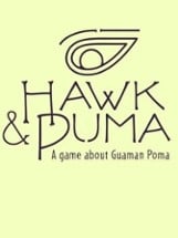 Hawk and Puma Image