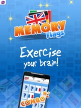 Memory Flags Game Image