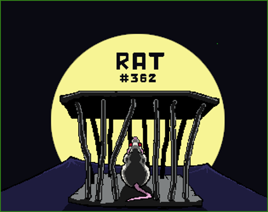 Rat #362 Game Cover