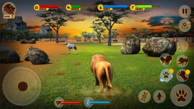 Real Lion Adventure 3D Image