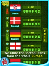 Fortune FootBALL: EURO 2012 Image