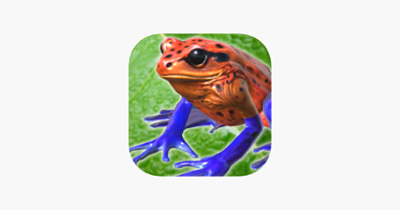 Frog Friends Image