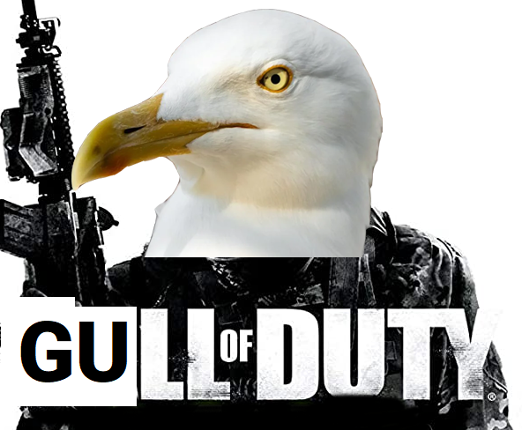 Gull of Duty Game Cover