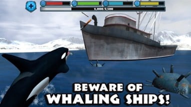 Orca Simulator Image