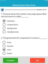 Skeletal System Quizzes Image
