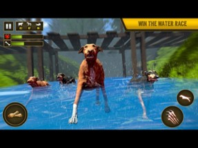 Stray Dog Simulator Games 2018 Image
