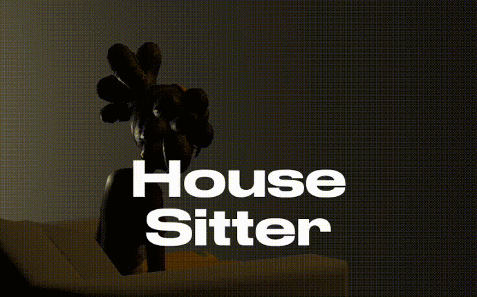 House Sitter Game Cover