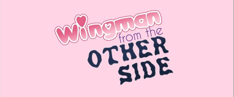 Wingman from the Other Side Game Cover