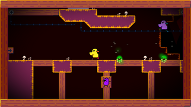 Duck Run Image