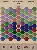 Bubbles Hexagon Puzzle Image