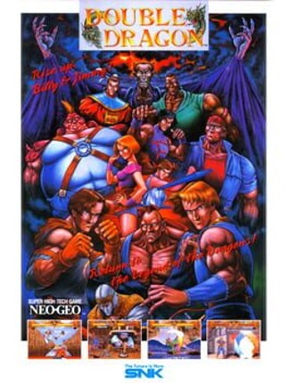 Double Dragon Game Cover