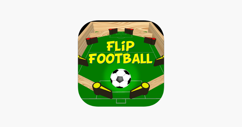 Flip Football Game Cover