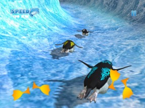 Penguin Waterslide Dash 2018 Image