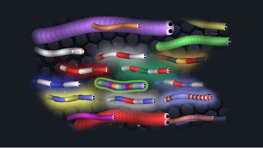 Slither Editor - Unlocked Skin and Mod Game Slither.io Image
