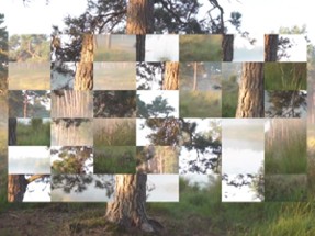 Video Puzzle Full Screen Image