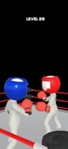 Boxing Masters Image