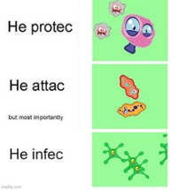 Protec Attac Infec Image