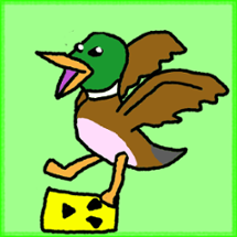 Rad Ducks Image