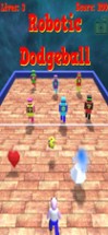 Robotic Dodgeball Pro Image