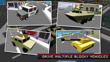 Blocky Police Super Heroes Image