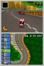 Mario Kart DS Image