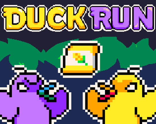 Duck Run Game Cover